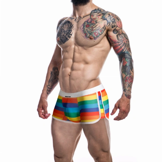 boxer Rainbow Boxer Trunk